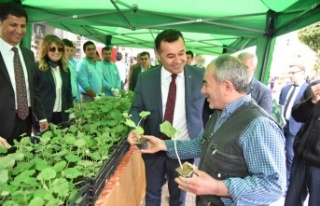 Alanya Belediyesi su kabağı fidesi dağıtacak