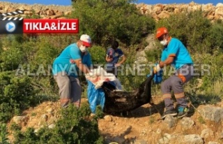 Alanya’da ormanlık alanda öldürülmüş 2 köpek...