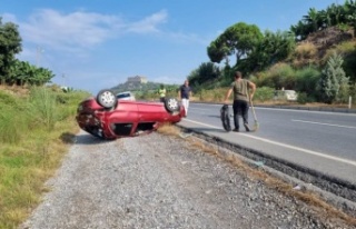 Alanya'da kaza: 1 kişi yaralandı, 1 köpek...