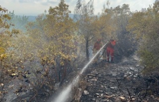 Alanya’da çıkan orman yangını söndürüldü