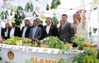 Alanya’da ‘Tropikal Meyve Festivali’ başladı