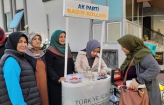 AK Parti Kadın Kolları üyelik çalışmalarını...
