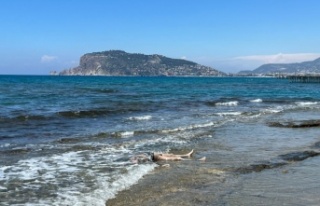 Alanya'da deniz kıyısında erkek cesedi bulundu