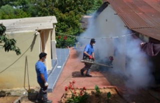 Alanya'da piknik yerleri ilaçlanıyor