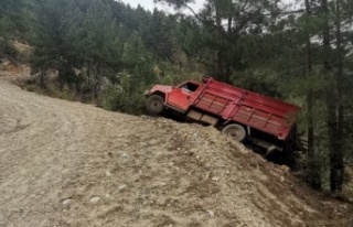 Alanya’da yoldan çıkan kamyonet ağaca çarptı:...