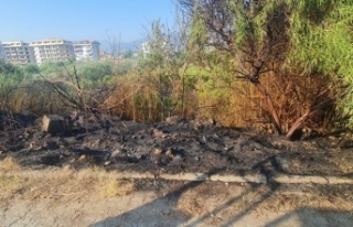 Alanya’da çalılık alanda çıkan yangın büyümeden...