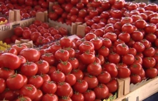 Alanya’da kış hazırlığı başladı