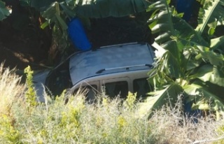 Alanya’da muz bahçesine devrilen araçta sürücü...