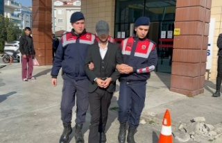 Alanya'da 3 depremzedenin öldüğü kazada sürücü...