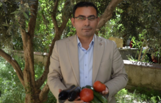 Alanya'ya son çağrı: Bir an önce yaptırın!