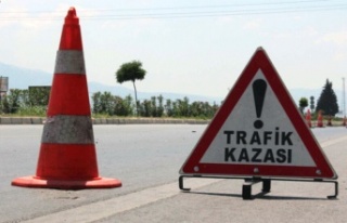 Alanya’da motosikletiyle domuza çarpan sürücü...