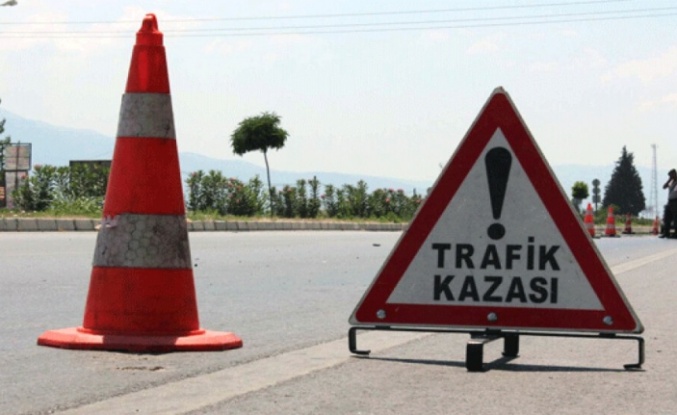 Alanya’da motosikletiyle domuza çarpan sürücü yaralandı.