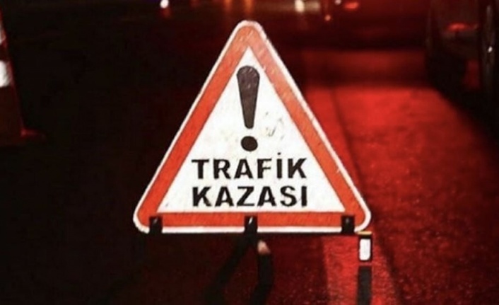 Alanya’da köpek paniği kazaya neden oldu: 3 yaralı