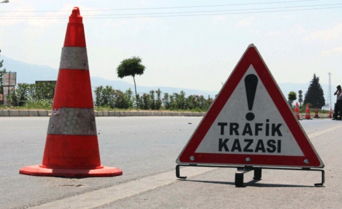 Alanya’da motosikletiyle domuza çarpan sürücü yaralandı.